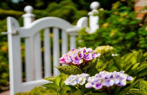 LITZKOW 13903 - Photo 22