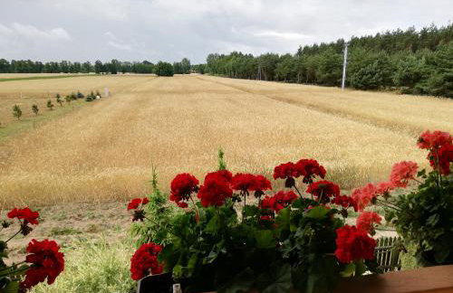 Maciejówka Gospodarstwo Agroturystyczne - Foto 37