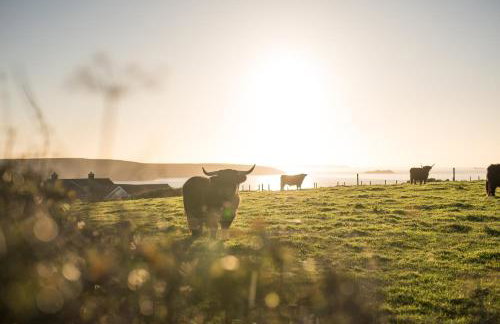 Timber Hill - Parkfields - Foto 22