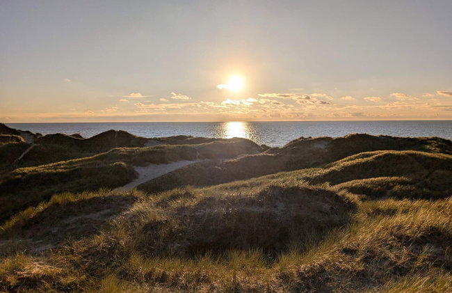 7 Person Holiday Home in Ulfborg - Photo 36