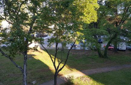 Apartment Matilda - Foto 37