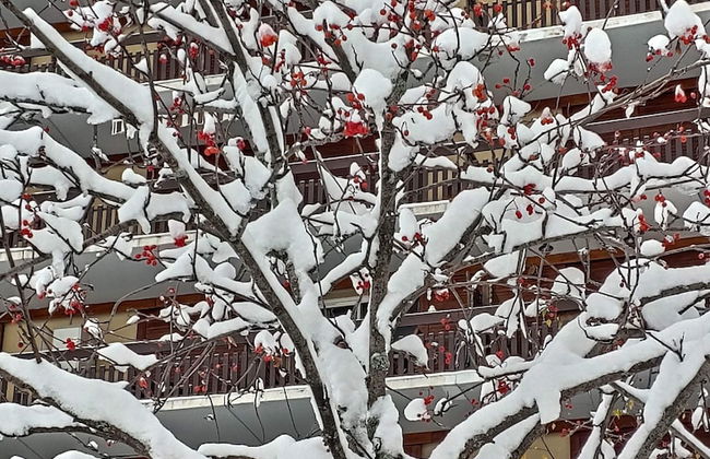 Superdevoluy545S - Photo 45