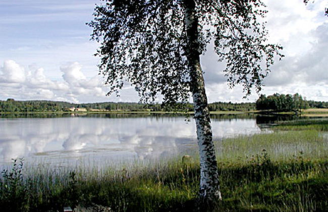 2 bedroom House in Sonkajärvi with sauna - Photo 14