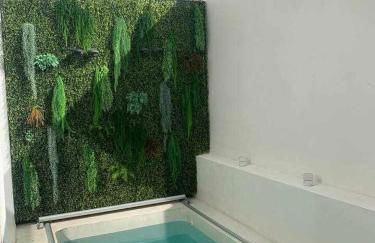 Renovación total post-covid Netflix, Piscina - Foto 3