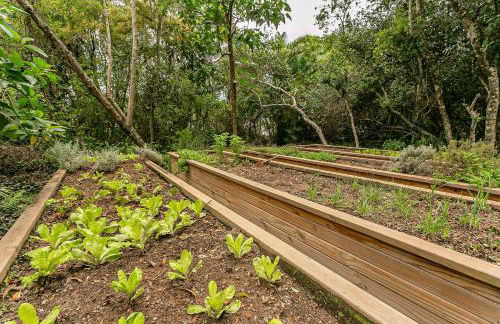 WI-FI 500MB | Trapiche na Lagoa da Conceição #LA09 - Foto 34