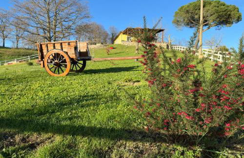 Villa Matilde - Foto 7