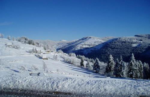 Charmant chalet de montagne avec terrasse et vue imprenable - FR-1-589-72 - Foto 8