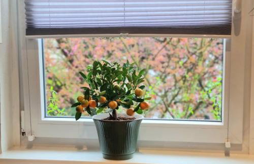 Ferienwohnung Fleiger 3 in Achim Zentrum - Foto 3