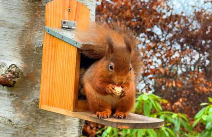 Drumfin Cottage - Foto 16