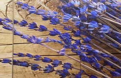 Pension Lavendel - Foto 30