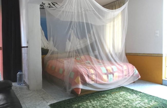 Termas da Azenha - Photo 5