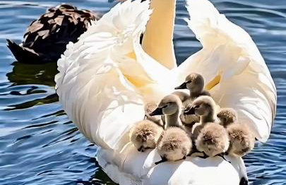 Riverbank Lodge - Foto 15