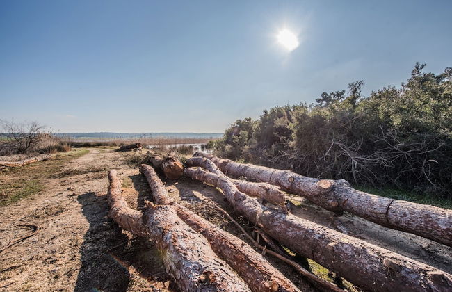 Villa Athena by halu! Villas - Foto 43