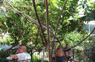 Marthas Studios - Foto 31