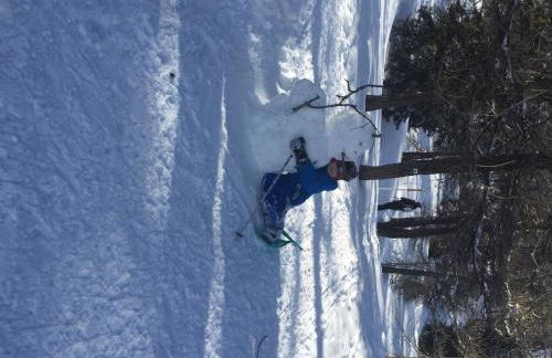 Montricher Karellis, à 5 min de Saint Jean de Maurienne - Foto 32