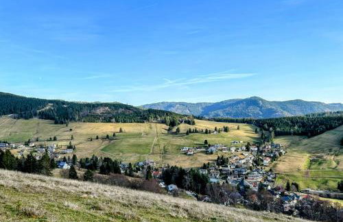 Schwarzwald Chalet Matti in Todtnauberg - Foto 71