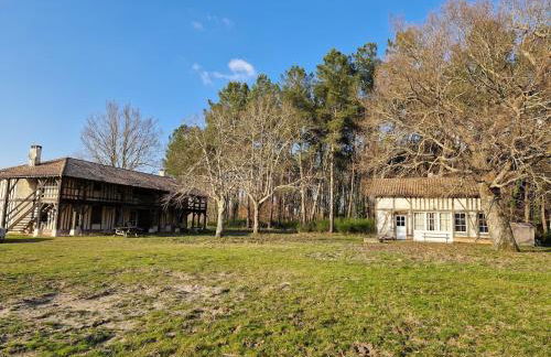 Les maisons de la baguette - Foto 45