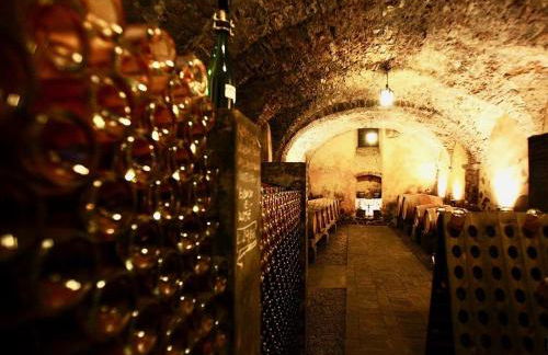 Villa Redona - Photo 14