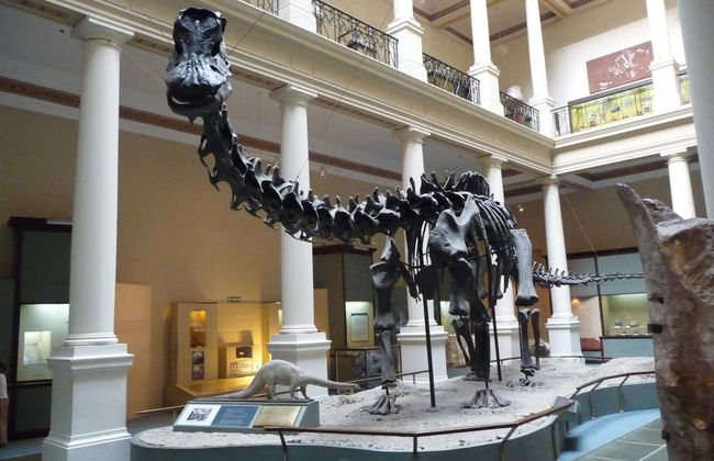 Excursión a La Plata - Foto 3