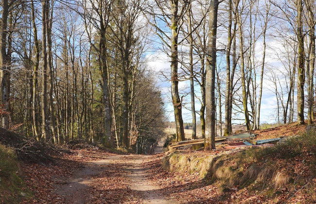 6 Person Holiday Home in Knared - Foto 33