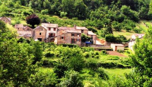 Gite Du Tourdre - Photo 5