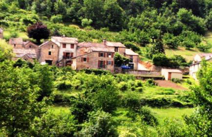 Gite Du Tourdre - Photo 5