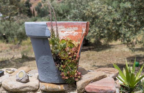 Vivienda rural del salado - Foto 80