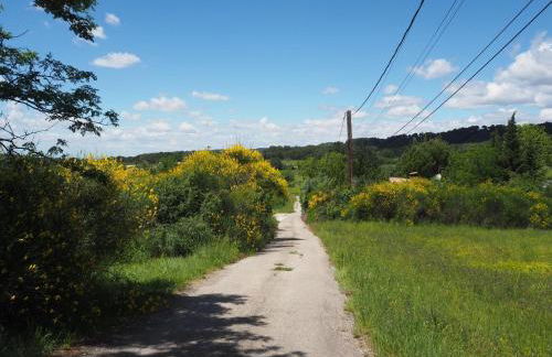 Holiday Home in Villes-sur-auzon With Pool - Foto 54