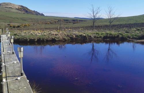 Homeston Lodge - Foto 8