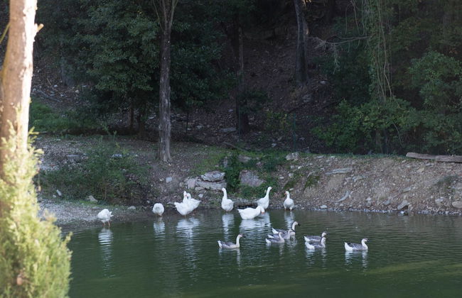 Tenuta La Bandita - Foto 28