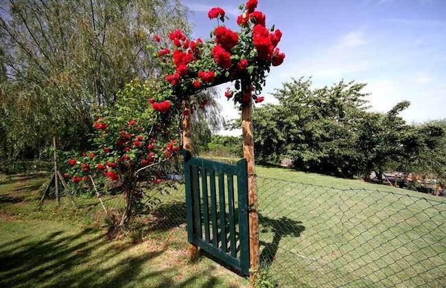 Agriturismo Molinuzzo - Foto 34