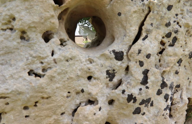 Tenuta Aguglia - Foto 23