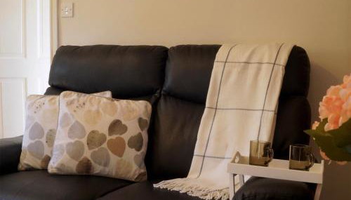 Brown Snout - Foto 2