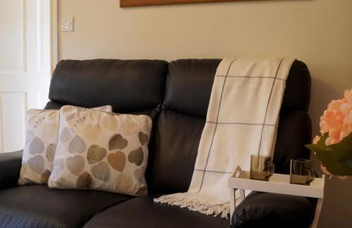 Brown Snout - Foto 2