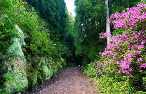 Azor International Apartment II - Foto 24