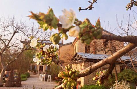 Casadesergio - Photo 23