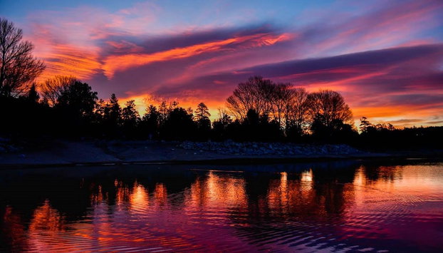 Fox Farm Manor - Foto 2, Paseos en barco