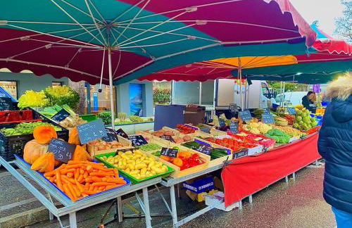L'ORANGERAIE - Garage, Balcon, Vélos, Proche Lac, Vue Montagne - Foto 54