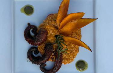 Prestes Exclusive - Pipa Ubaia - Foto 23