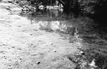 Quinta da Casa Matilde - NATURE HOUSE - Foto 54