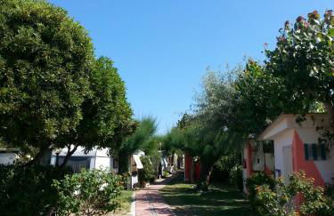 Sunset Village - Foto 7