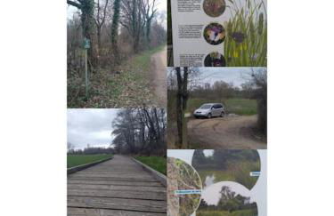 Gîte la tourterelle - Foto 74