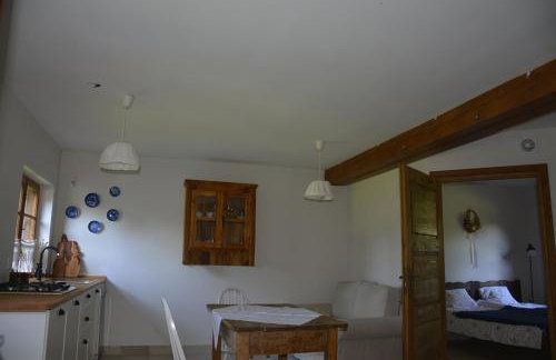 Mamrowisko - Foto 49