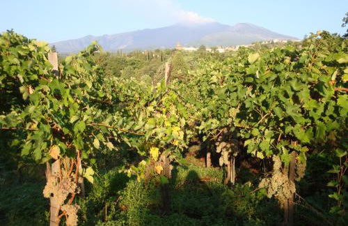 Villa Iolanda-Sive Natura Wine&House - Foto 32