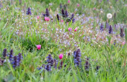 Apartments Villa Venera - Photo 35