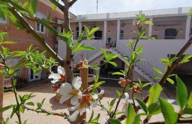 Casa das Amendoeiras - Photo 19