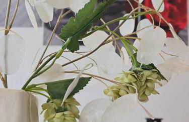 FeWo Hottelstedt - Foto 3