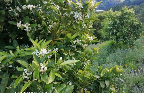 Casa Douro Terrace - Foto 15