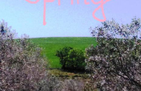 Agriturismo IL CANTINIERE - Foto 34