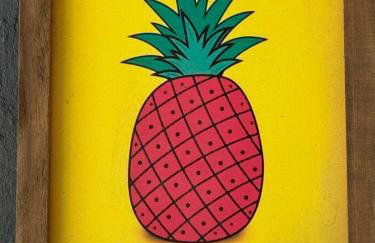 Casa aconchegante bem localizada - Photo 5